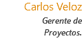 &nbsp;Carlos Veloz Gerente de Proyectos.